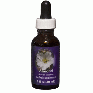 Almond ml