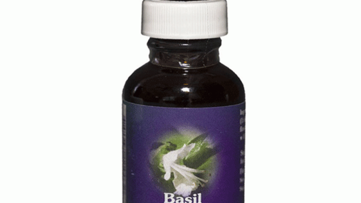 Basil 30 ML FES Paimun