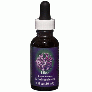 Lilac ml