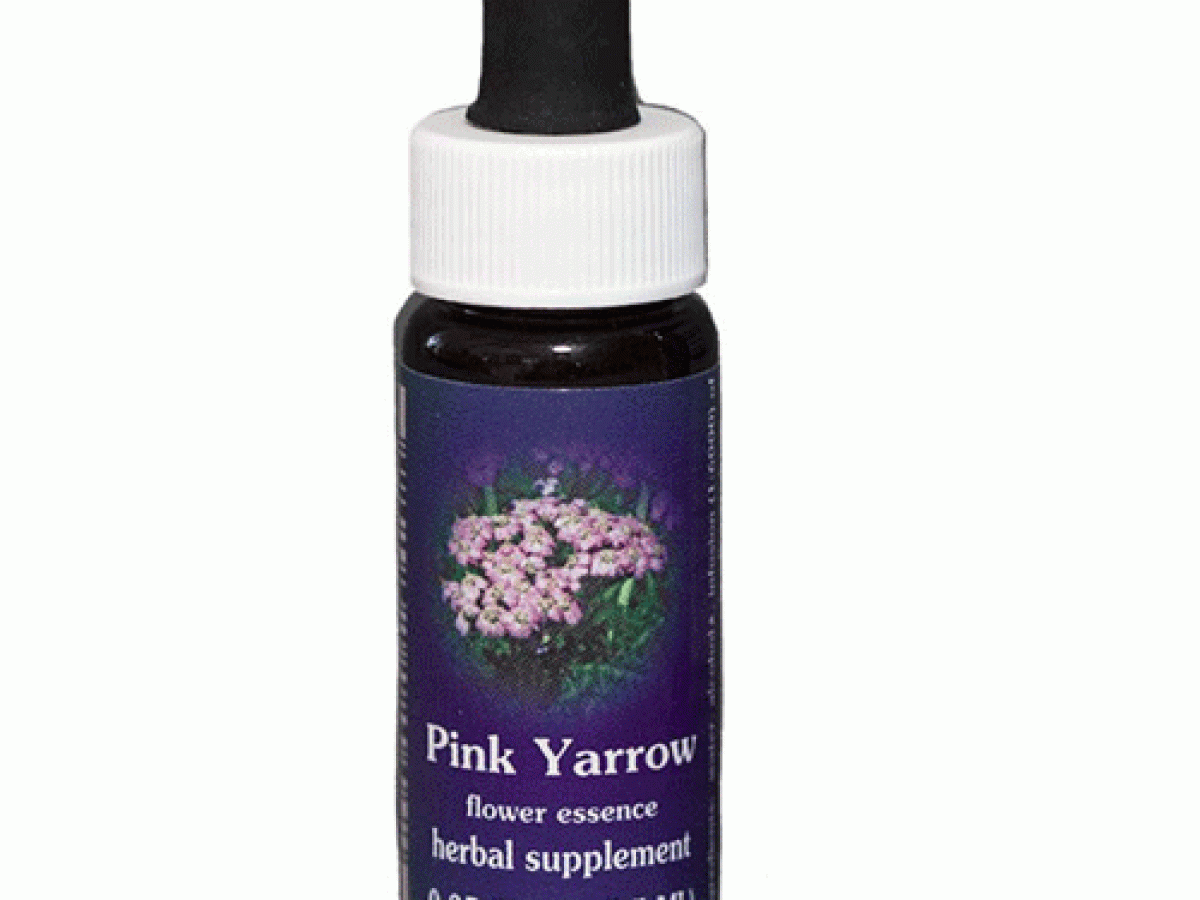 Pink Yarrow Flower Essence 1/2 oz. bottle with dropper – Herbal Energetics