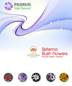 Sistema Bush Flowers Australia