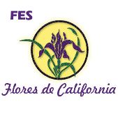 FES Flores de California