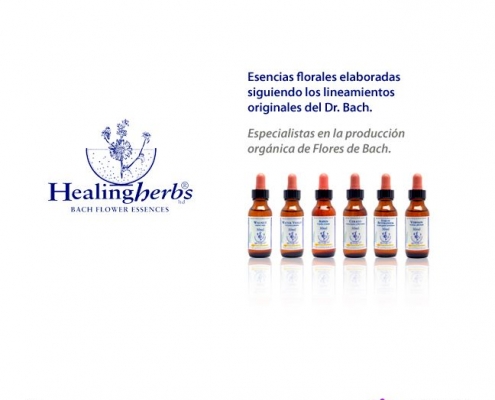 flores de bach healing herbs