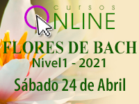 curso flores de bach chile