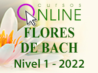 curso flor de bach chile