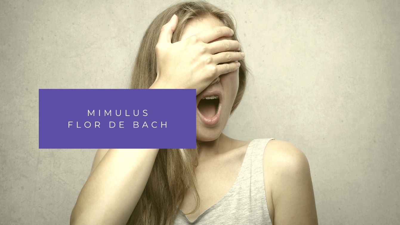 Conoce la Esencia Mimulus | Flor de Bach