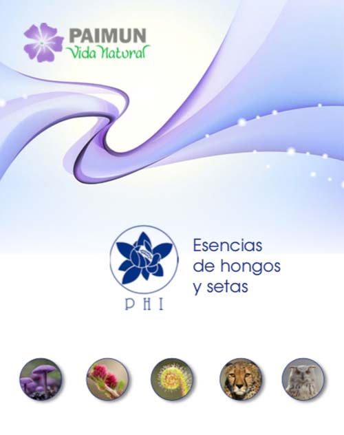 Esencias de Hongos y Setas PHI