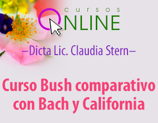 Bush Comparativo con Bach y California