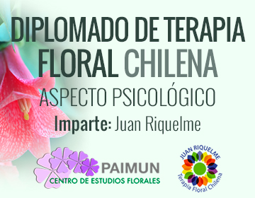 Diplomado Terapia Floral Chilena