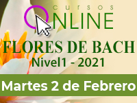 Curso Flores de Bach