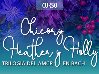 Trilogía del Amor en Bach