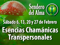 Curso Esencias Chamánicas