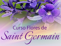 Curso de Flores de Saint Germain– Módulo I