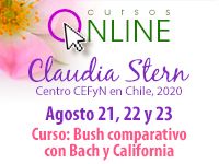 Curso Bush comparativo con Bach y California