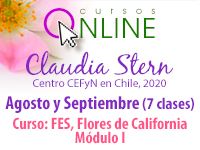 Curso FES, Flores de California Módulo I