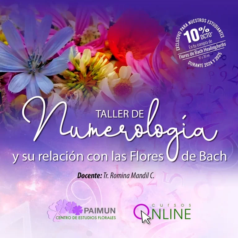 taller de numerologia