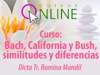 Curso Bush comparativo con Bach y California