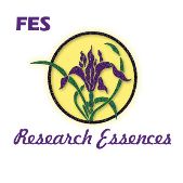 FES Research Essences