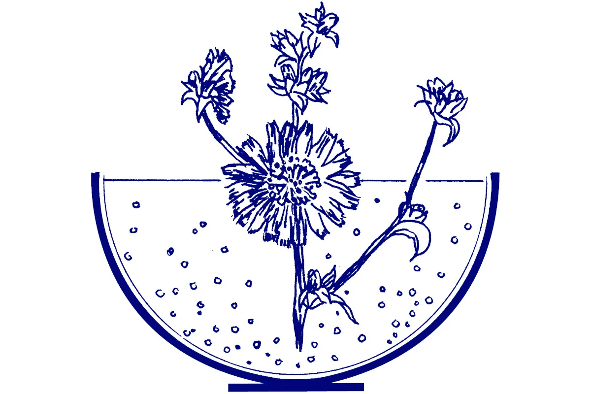 flores de bach healing herbs logo