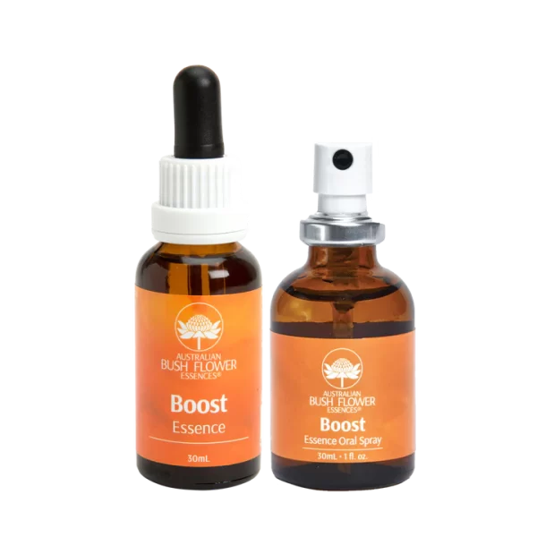Boost Essence 30 ML-Stock Bootle-Bush. - Imagen 2