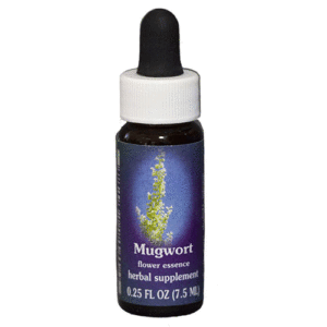 Mugwort  - 7.5 ML - FES