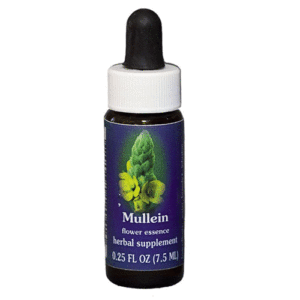 Mullein - 7.5 ML - FES