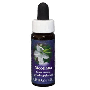 Nicotiana  - 7.5 ML - FES