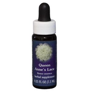Queen Anne'S Lace  - 7.5 ML - FES