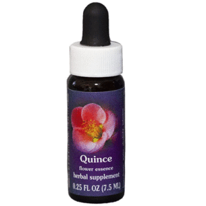 Quince  - 7.5 ML - FES