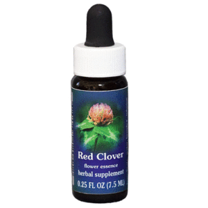 Red Clover  - 7.5 ML - FES