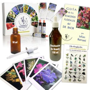 Promo 1: Primeros Pasos Set - 10 ML