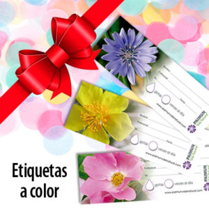Regalo: Etiquetas a color.