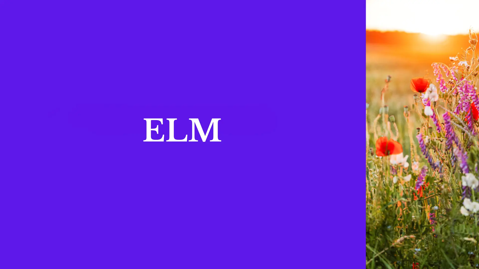 ELM