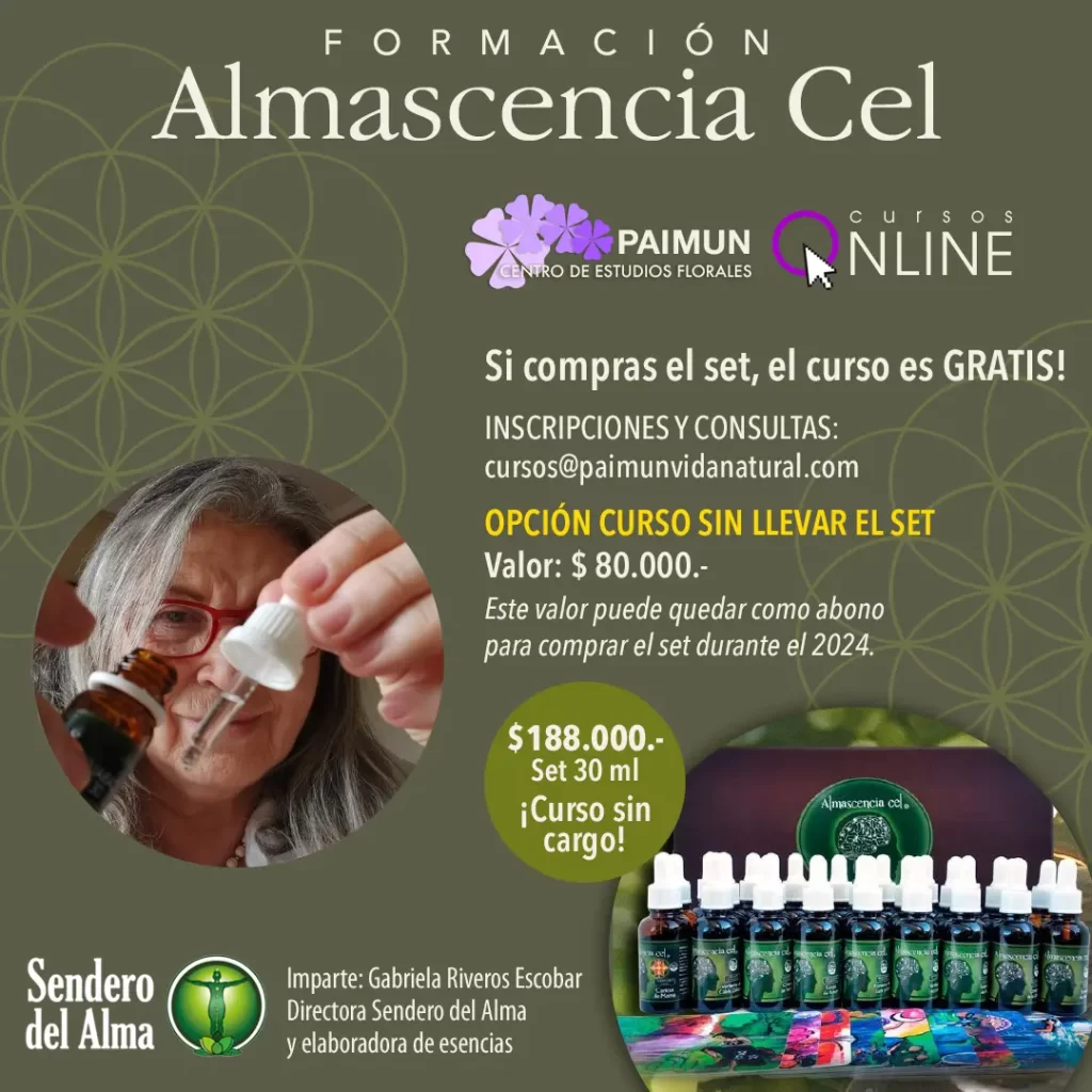 curso de almascencia cel