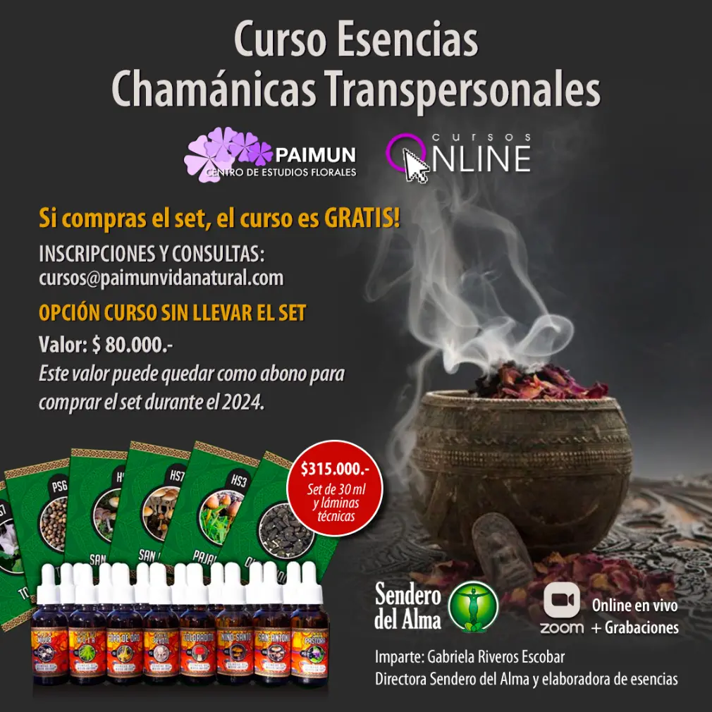 cursos esencias chamanicas