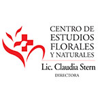 claudia stern logo