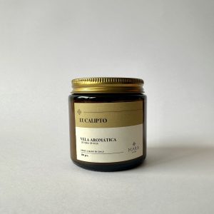 Vela Eucalipto 100 grs