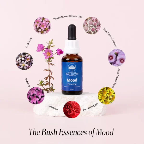 MOOD ESSENCE 30 ML -COMBINADA-BUSH - Imagen 2