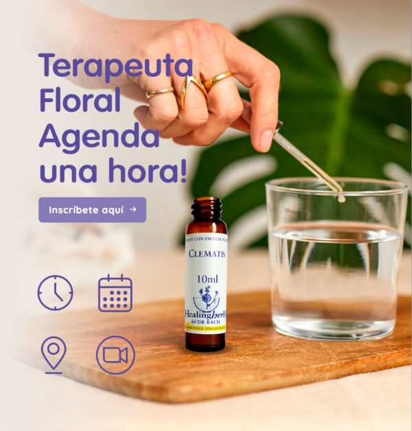Sesión de Terapia Floral - Imagen 3