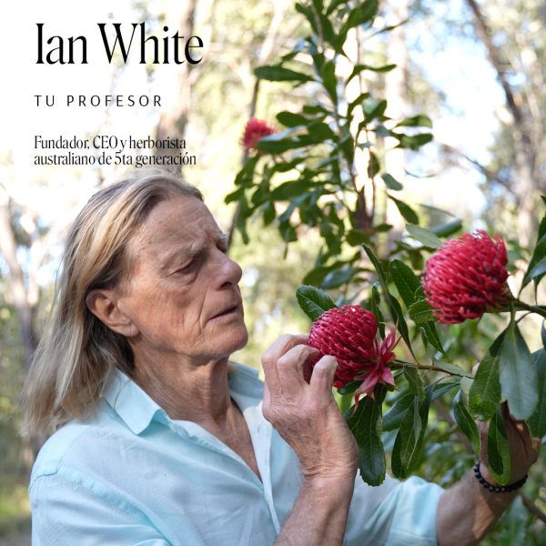 Taller de Ian White en Chile - Imagen 2