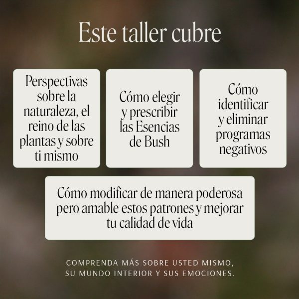Taller de Ian White en Chile - Imagen 6