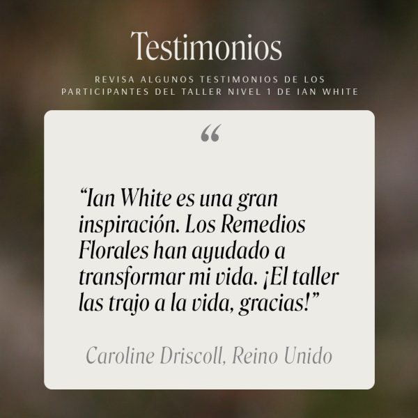Taller de Ian White en Chile - Imagen 7