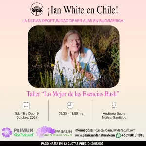Taller de Ian White en Chile