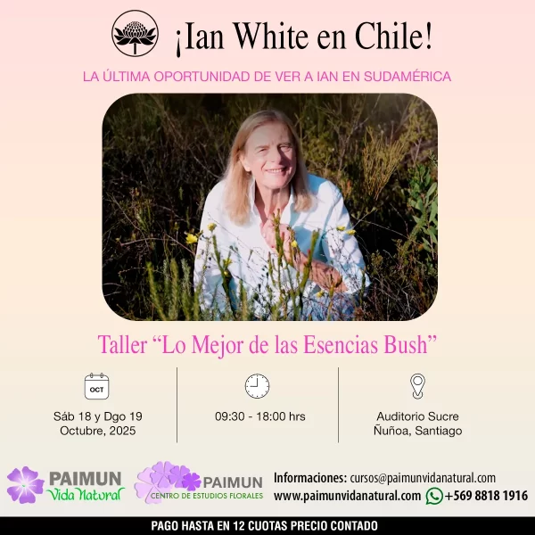Taller de Ian White en Chile